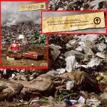 Disposable 
by Smart Set