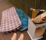 50 Sheets Free 
by Smart Set