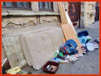 ensor enzo enza 
by wim rutten