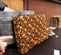 Worth Pointing At 
by Smart Set