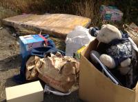 bearly pointing 
by robert kershaw