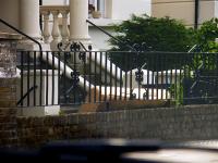 Columnist 
by Smart Set