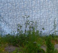 Mattsquerade 
by Smart Set