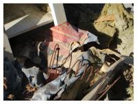 spring is in the air 
by wim rutten