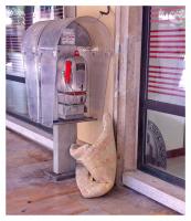 little red phone 
by wim rutten