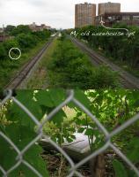 you can go home 
by robert kershaw