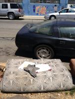 live... 
by robert kershaw