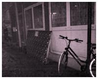 nightly horse of steel 
by wim rutten