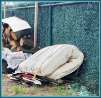 winter warmth waiting 
by wim rutten