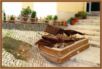 blue alone 
by wim rutten