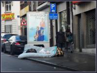 mango kids 
by wim rutten