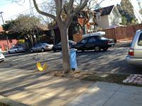 drive by 
by robert kershaw