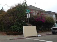 61 Street Revisited 
by robert kershaw