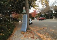 fall colors 
by robert kershaw