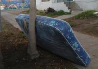 berkeley youth 
by robert kershaw