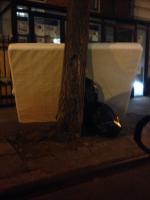 Trees Break the Fall 
by EZ