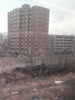 NJ Transit Train Southbound 
by EZ