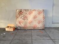 speaking of roses 
by robert kershaw