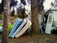 The Power of 3 
by EZ