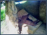 pariry-ish 
by wim rutten