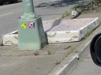 UA in the Bay 
by robert kershaw