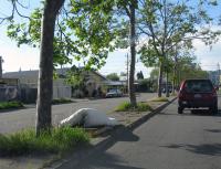 median hump 
by robert kershaw