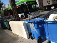 clean and green 
by robert kershaw