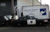 the elephant in the room 
by robert kershaw