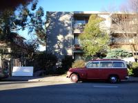 viva volvo 
by robert kershaw