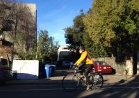 yellow jacket 
by robert kershaw