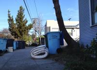 roly poly 
by robert kershaw