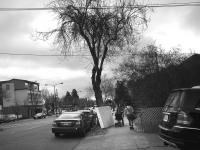 desaturated 
by robert kershaw