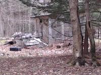 Watercolor Effect 
by EZ