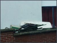 xenophobia 
by wim rutten