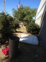 beneath the red white and blue 
by robert kershaw