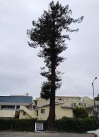 let sleeping giants stand 
by robert kershaw