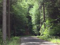 The Road Ends Here 
by EZ