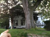 it dont mean a thing... 
by robert kershaw