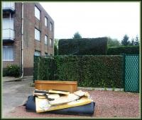 let out the mouSSe 
by wim rutten