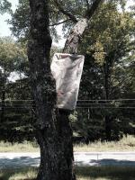 Sleeping Tree 
by EZ