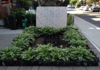 flower bed 
by robert kershaw