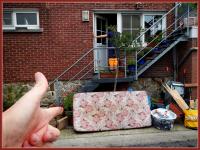 quest to sunshine 
by wim rutten