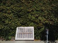 ivy league 
by robert kershaw