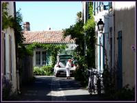 lavender fragrance 
by wim rutten