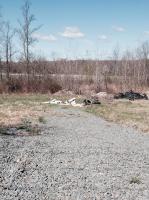 Where Tires Go to Die 
by EZ