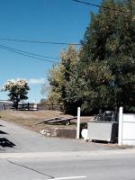 Hiding in the Shade 
by EZ