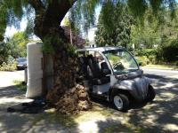 commuter 
by robert kershaw