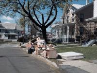 Dandelions + Mattresses 
by EZ