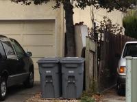 squirrely 
by robert kershaw