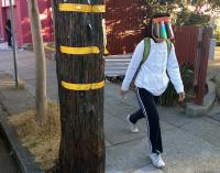 space invader 
by robert kershaw